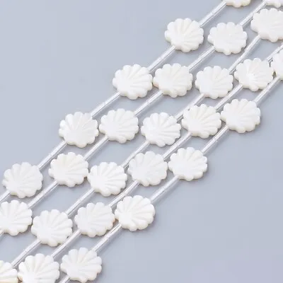 50Pcs Natural White Shell Beads Mother Of Pearl Shell Beads Crafts 12x12x3mm • $16