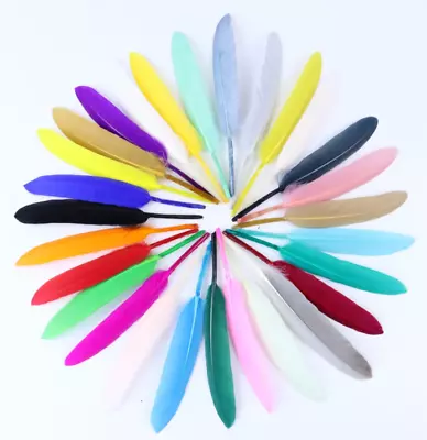 BULK 50pcs Goose Feathers 10-15cm 12 Colour Choice Millinery DIY Art Craft • $8.95