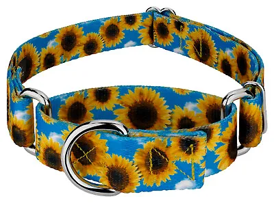 Country Brook Petz® Sunflowers Martingale Dog Collar • $12.97