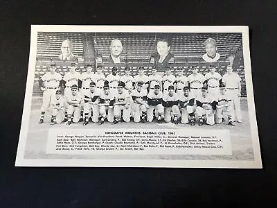 ORIGINAL - 1961 Vancouver Mounties - PCL - Team Issued Photo - RARE - 7x11 In. • $8.88