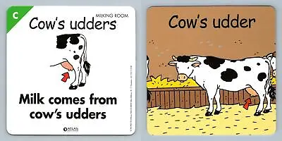 Cow's Udders - C - Atlas Editions Play & Learn Flash Card • £0.99