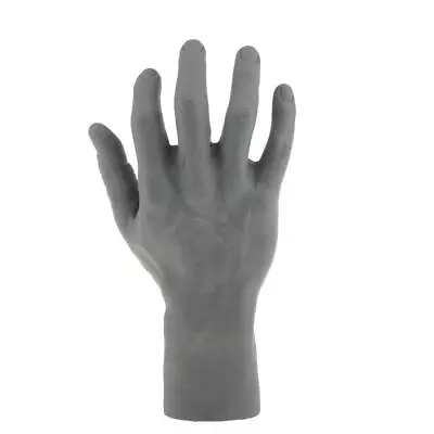 Male Mannequin Right Hand For Jewelry Bracelet Watch Glove  Display • $16.53