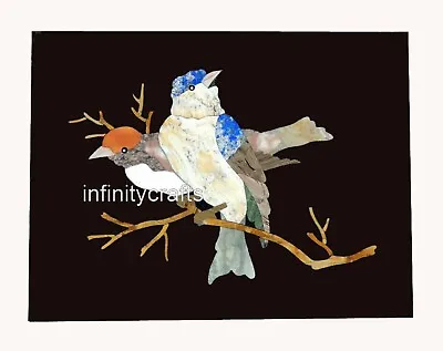 Black Marble Coffee Table Top Bird Pattern Inlay Work Wall Highligher For Hotel • £250.82