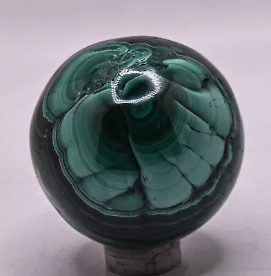 43mm Dark Green Malachite Sphere Polished Natural Crystal Mineral Ball - Congo • $51.96