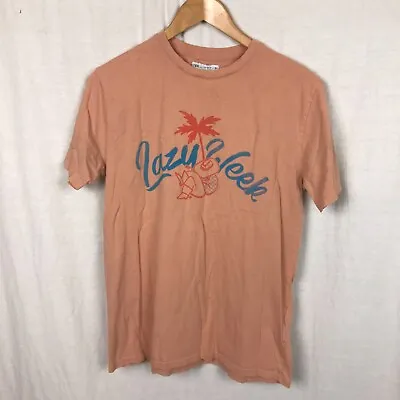 Zara Kids Boys LAZY WEEK Short Sleeve T Shirt Casual Size 13/14 • $0.99