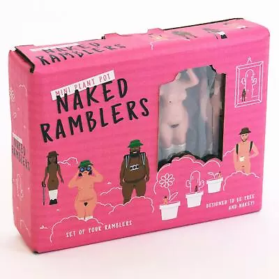 Gift Republic Mini Naked Rumblers Sticks Plant Pot Decoration Garden Ornaments • £14.49