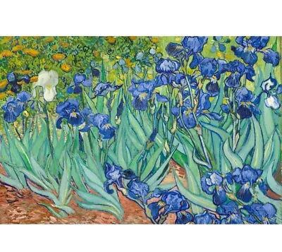 Irises In The Garden By Vincent Van Gogh 11X14 Framed Artwork Home Decor Art New • $26.26