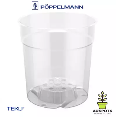 $52.90 • Buy 150mm Clear Pots X 40pcs By TEKU Germany - Phalaenopsis / Orchids -QLD