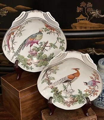 Fine Rare Pair Mottahedeh Canton Chelsea Bird Botanical Shell Oyster Plate 8.25” • $197