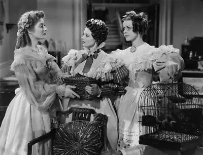 Marsha Hunt Greer Garson Ann Rutherford 8x10 Glossy Photo • $8.99