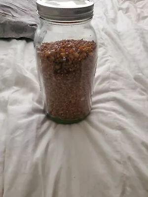  Mushroom Sterilized Rye Berry Wbs Popcorn Rice Substrate Jar • $12