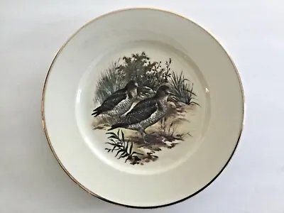 $17.99 • Buy Vtg W. Germany Snipe Eschenbach Bavaria Rosenthal China Luncheon Plate Rare Gold