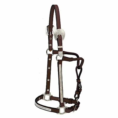 $442.49 • Buy Tory Leather Tory Oklahoma Show Halter W/Lead 3/4 In