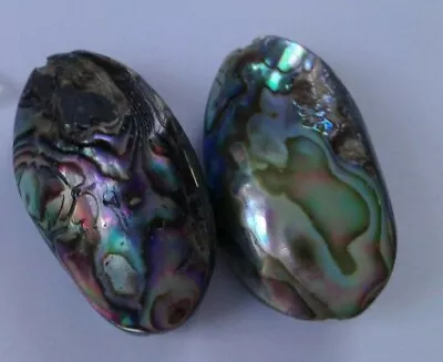 2 Natural Paua/Abalone Shell Beads 26 Mm. Jewellery Making/Embellish/Crafts • £12.56