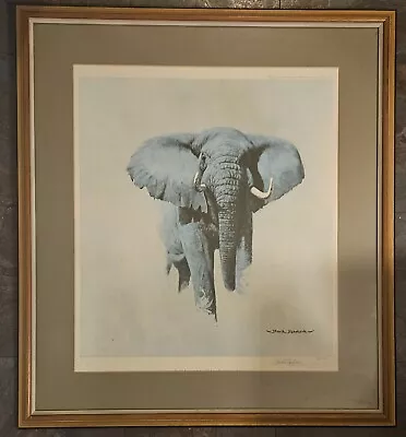 Framed Limited Edition Signed Print  African Bull Elephant  By David Shepherd • £119.99