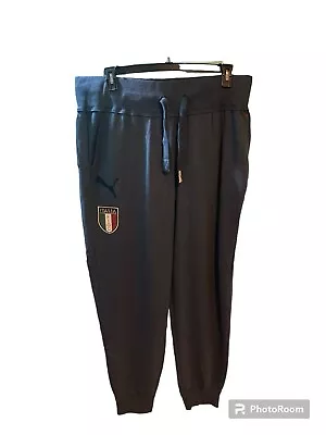 Puma Men’s XXL Gray Sport Lifestyle Pants NWT Zipper Ankle Italian FIGC • $15