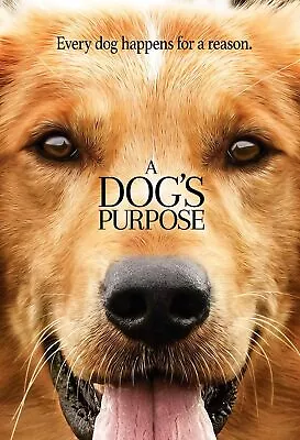 A Dog's Purpose (DVD) (VG) W/Case) • $3.75