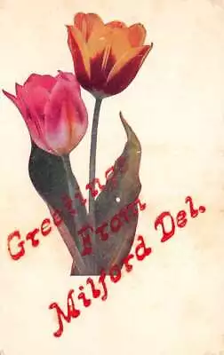Milford Delaware Greetings Tulips Flowers Vintage Postcard AA83306 • $6.75