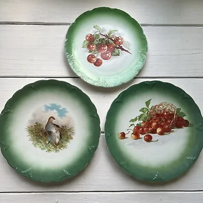 Antique Petrus Regout & Co Maastricht-Holland Cherry Bird Green Plates • $17.99
