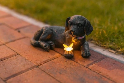 £13.99 • Buy Solar Dog Garden Ornament LED Light Up Puppy Statue Labrador Butterfly Decor