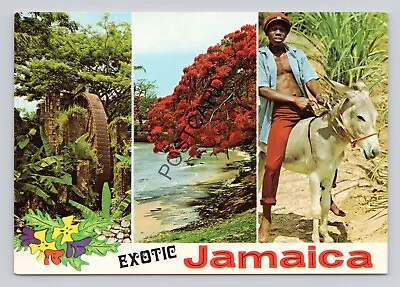 Postcard (S13) West Indies Jamaica Exotic Jamaica Multi View • £5.99