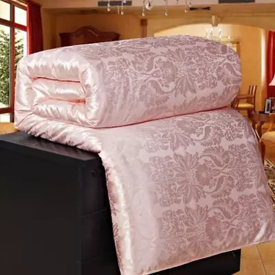 Summer Winter Silk Quilt Comforter Duvet Filling Natural/Mulberry Silk Blanket • $71.31