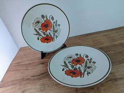 2x J & G Meakin Studio Poppy Dinner Plates Vintage 1970s 25cm • £16