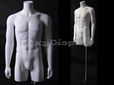 Male Mannequin Torso  With Nice Body Figure And Arms #MD-TMW • $205