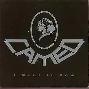 Cameo (Funk Group) I Want It Now 7  Vinyl UK Polygram 1990 B/w Dkwig Release • £2.28