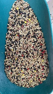 SkyGold Popular Canary & Finches AVIARY Bird Food Seed Mix 124 & 5kg • £29.99