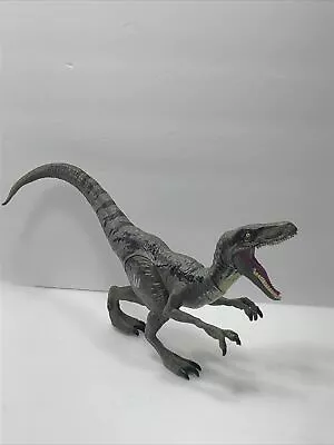 Hasbro Jurassic World Velociraptor Blue Dinosaur Raptor Figure Loose • $17.99