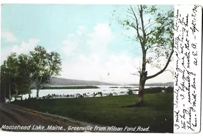 Greenville Maine Moosehead Lake Wilson Pond Road 1905 USA Vintage UDB Postcard • $3.86