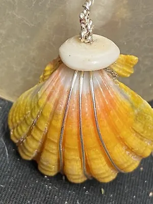 BIG One HAWAII HAWAIIAN SUNRISE SHELL Shells CoLoRs Sunriseshells PENDANT ?? • $130