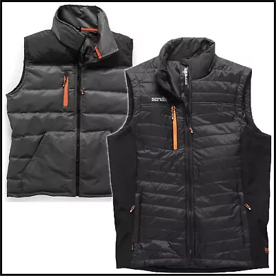 Scruffs Body Warmer - Trade Work Gilet - Trade Or Worker Models - M - XXL • £31.99