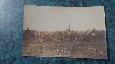 Early Texico Nm Rppc Horse Drawn Plow Team Culling Corn Real Photo Postcard • $19.99