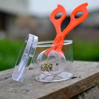 £2.96 • Buy Childrens Garden Bug Insect Nature Catch Explore Kit KS
