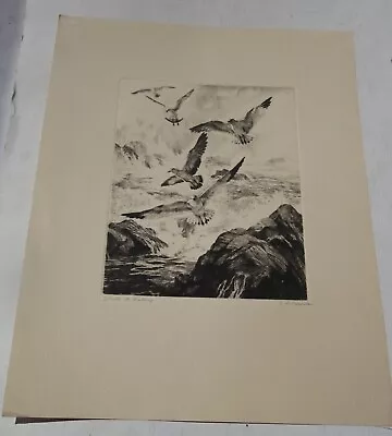 Vintage R.H. Palenske Print/Etching Gulls At Monterey Unframed  • $14.99