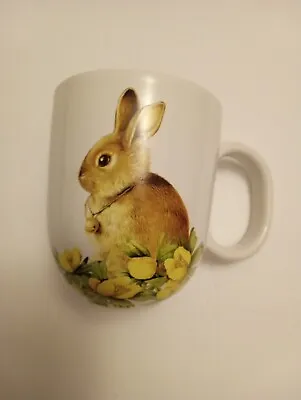 Marjolein Bastien Bunny Mug • $5.99