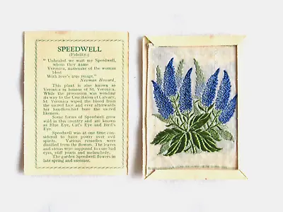 KENSITAS SILK CIGARETTE CARDS - 2nd SERIES FLOWERS  PRINTED BACK SPEEDWELL X 1 • £3.99