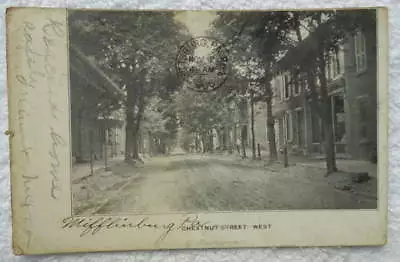 1908 Postcard Chestnut Street West Mifflinburg Pennsylvania #1nm • $5.85