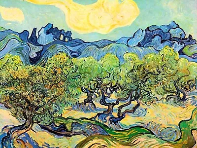 Landscape With Olive Trees By Vincent Van Gogh Art Painting Print • $17.99