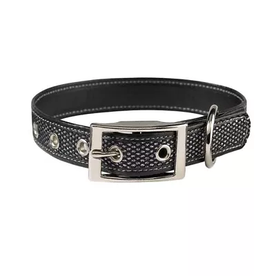 $8.99 • Buy Faux Leather Dog Collar W/ Metallic Mesh Inset Ribbon By Zack & Zoey 4 Sizes