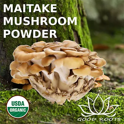 Maitake Mushroom Powder Organic USA Grown Bio-Active Hen Of The Woods 1 Pound • $62