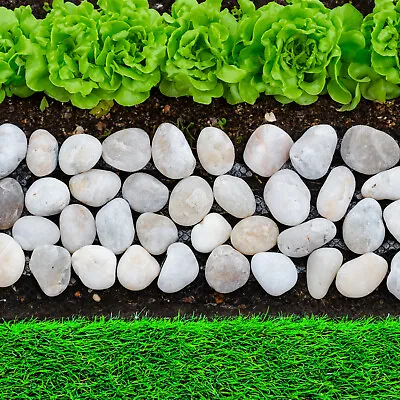 Woodside Pebble Strip Decorative Garden Lawn/Flower Bed Border Edging Pack Of 8 • £14.99