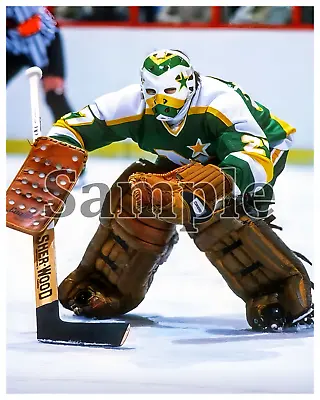 Minnesota North Stars Goalie Gilles Meloche  Color 8 X 10 Photo Picture • $5.59