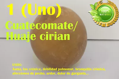 Cuatecomatehuaje/guaje Cirianbola De Ciriantecomatecoatecomatemorrojicaro • $12.99