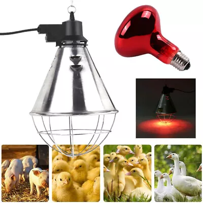 £35.95 • Buy Incubators Poultry Heat Lamp And 250W Bulb Hi/Low Switch Puppy/Kennel/Chicks