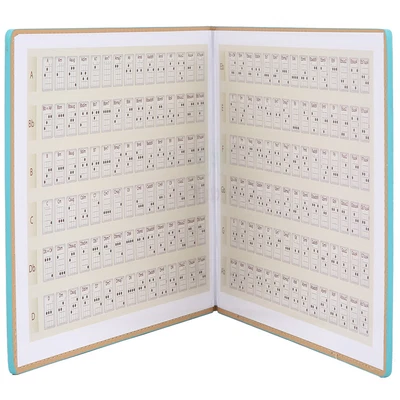 $14.84 • Buy Ukulele Chords Finder Beginner Ukulele Chord Chart Kit