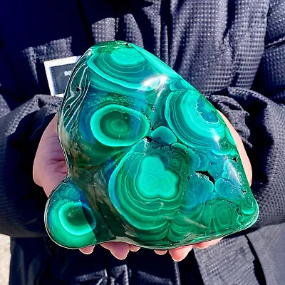 3.5LB Natural Glossy Malachite Transparent Cluster Rough Mineral Sample • $11.50
