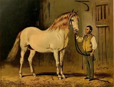 HORSES Antique Original Print Cassell's Book Of The Horse C1870s • £17